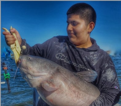 Blue Catfish fishing in Dallas, Texas