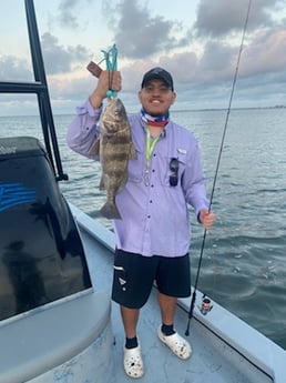 Black Drum Fishing in Rockport, Texas