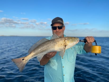 Redfish Fishing in Corpus Christi, Texas