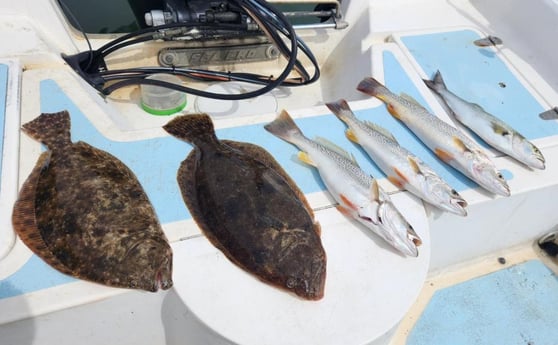 Flounder, Speckled Trout / Spotted Seatrout fishing in Beaufort, North Carolina