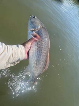 Fishing in Aransas Pass, Texas