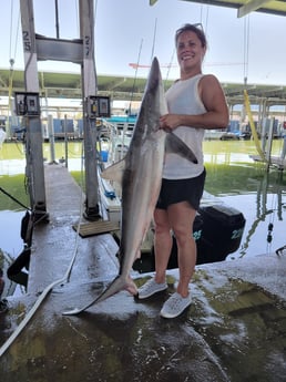 Blacktip Shark fishing in Galveston, Texas