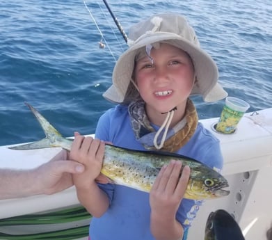 Mahi Mahi / Dorado fishing in Destin, Florida