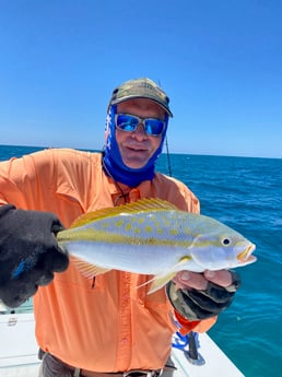 Yellowtail Snapper fishing in Islamorada, Florida