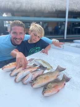 Mangrove Snapper Fishing in Key West, Florida