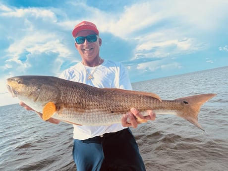 Redfish fishing in St. Petersburg, Florida