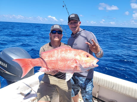 Red Snapper fishing in Clearwater, Florida