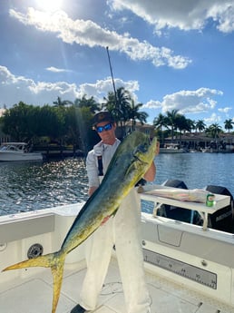 Mahi Mahi Fishing in Fort Lauderdale, Florida