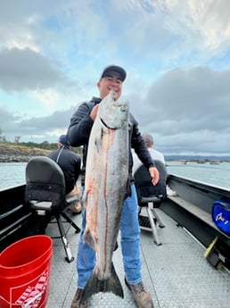 Chinook Salmon fishing in Toledo, Washington