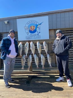 Black Drum fishing in Port Aransas, Texas