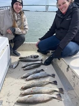 Black Drum, Speckled Trout / Spotted Seatrout Fishing in Galveston, Texas