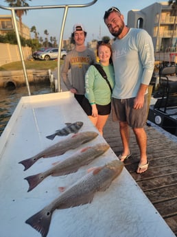 Black Drum, Redfish Fishing in Rio Hondo, Texas