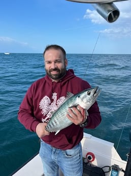 Bonito Fishing in Beaufort, North Carolina