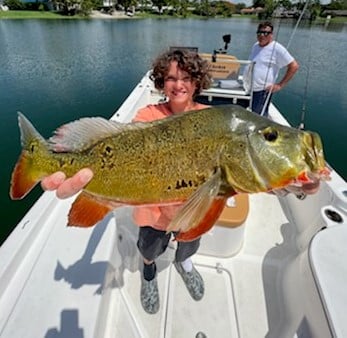 Peacock Bass fishing in Marathon, Florida