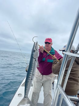 Barracuda fishing in Naples, Florida