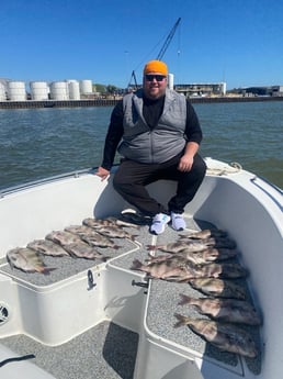 Sheepshead Fishing in Galveston, Texas