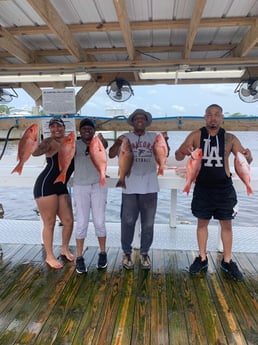 Mangrove Snapper, Red Snapper Fishing in Orange Beach, Alabama