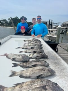 Sheepshead Fishing in Gulf Shores, Alabama