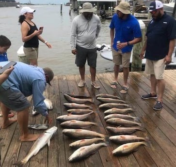 Black Drum, Redfish fishing in Port O&#039;Connor, Texas