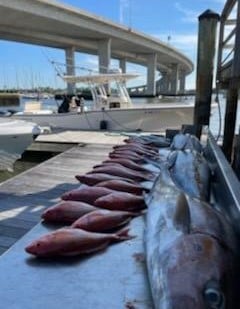 Amberjack, Red Snapper Fishing in Charleston, South Carolina