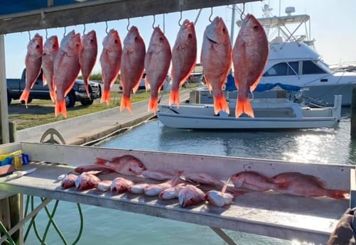 Red Snapper fishing in South Padre Island, Texas