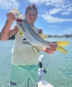 Snook fishing in Sarasota, Florida