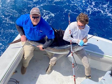 Sailfish fishing in Fort Lauderdale, Florida