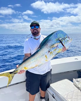 Wahoo fishing in Key Largo, Florida