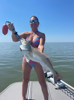 Redfish Fishing in Corpus Christi, Texas