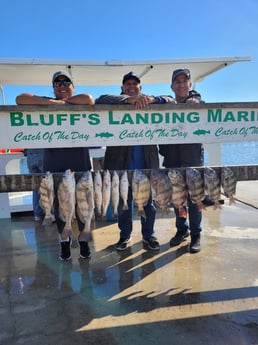 Black Drum, Sheepshead, Speckled Trout / Spotted Seatrout fishing in Corpus Christi, Texas