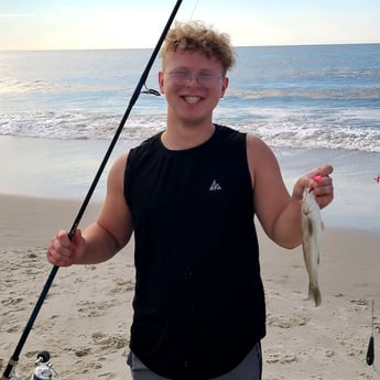 Speckled Trout / Spotted Seatrout fishing in Stone Harbor, New Jersey