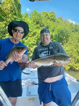 Mangrove Snapper, Redfish fishing in St. Petersburg, Florida