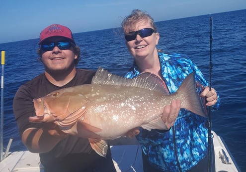 Red Grouper fishing in Clearwater, Florida