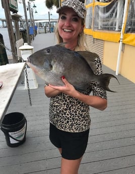 Mangrove Snapper fishing in Destin, Florida