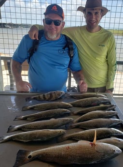 Black Drum, Redfish, Speckled Trout / Spotted Seatrout fishing in Matagorda, Texas