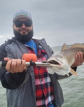 Redfish Fishing in Corpus Christi, Texas