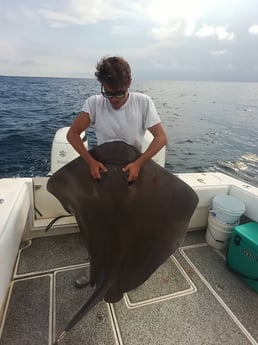 Giant Trevally fishing in Galveston, Texas