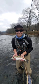 Rainbow Trout fishing in Broken Bow, Oklahoma