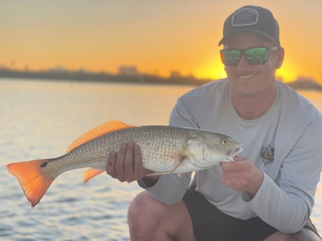 Redfish Fishing in Clearwater, Florida