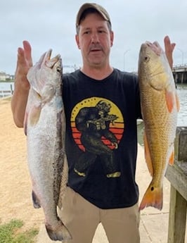 Redfish, Speckled Trout / Spotted Seatrout fishing in Galveston, Texas