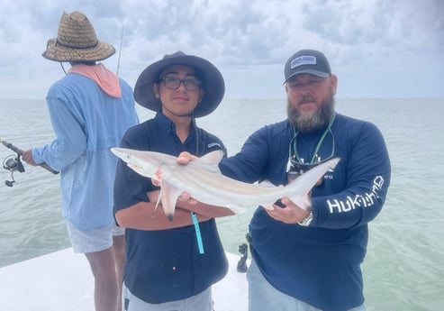 Blacktip Shark Fishing in South Padre Island, Texas