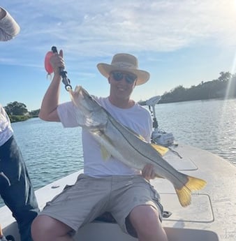 Snook Fishing in Sarasota, Florida