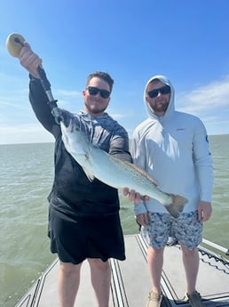 Speckled Trout Fishing in Corpus Christi, Texas