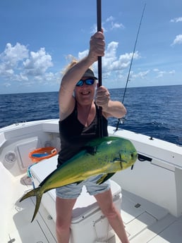 Mahi Mahi / Dorado fishing in Key Largo, Florida