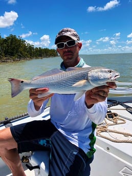 Redfish fishing in Tavernier, Florida