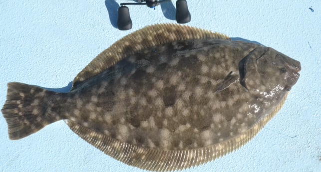 Flounder fishing in Galveston, Texas