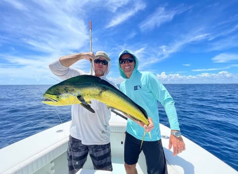 Mahi Mahi / Dorado fishing in Jupiter, Florida