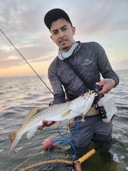 Speckled Trout / Spotted Seatrout Fishing in Rio Hondo, Texas