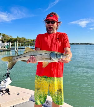 Snook fishing in Sarasota, Florida