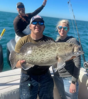 Gag Grouper fishing in Clearwater, Florida